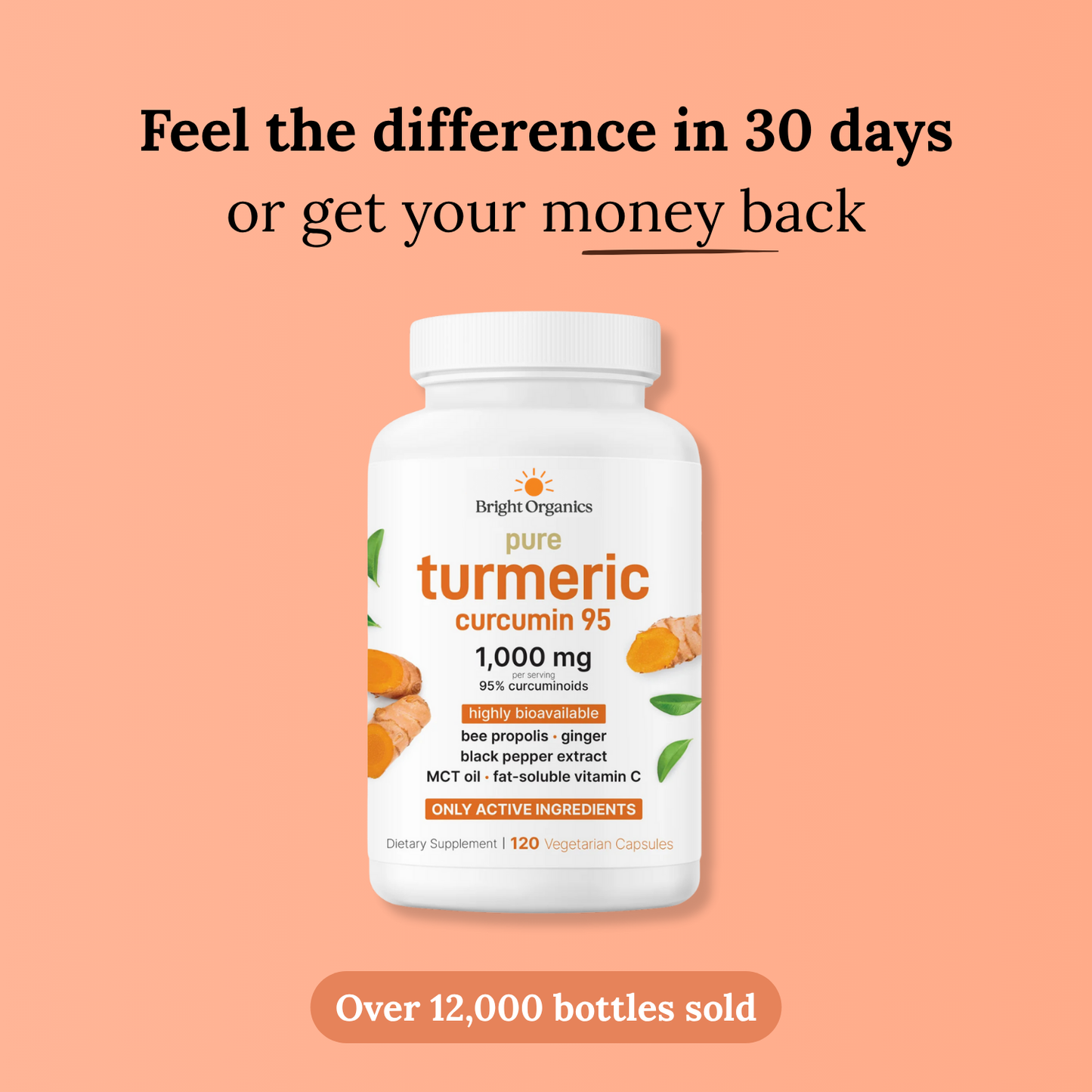 6-in-1 Pure Turmeric Curcumin Complex