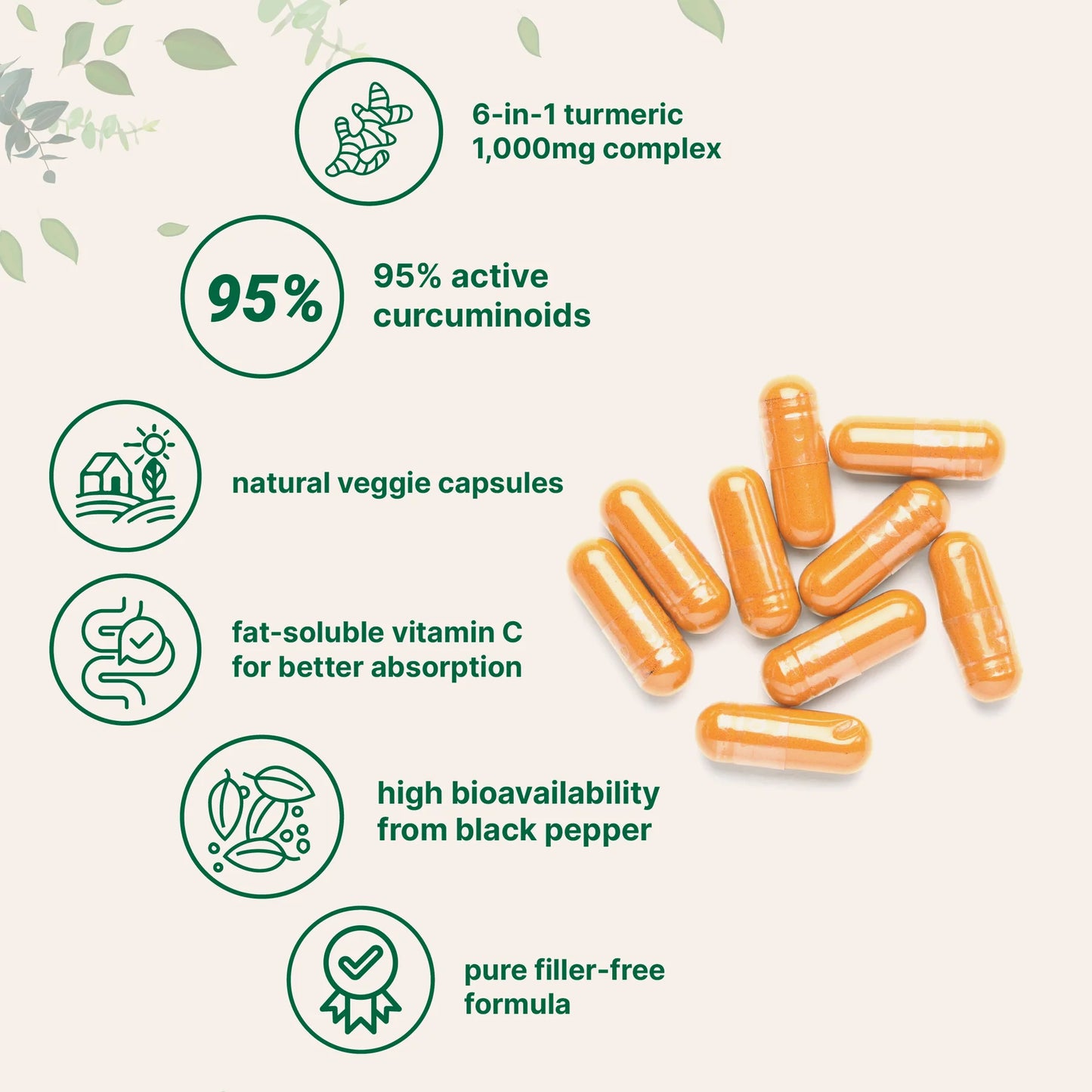 6-in-1 Pure Turmeric Curcumin Complex